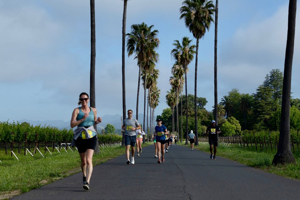 Runners on a palm-lined vineyard road at Round Pond
